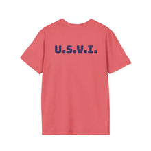Load image into Gallery viewer, USVI ISLAND FLAG T-SHIRT