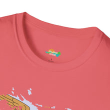Load image into Gallery viewer, USVI ISLAND FLAG T-SHIRT