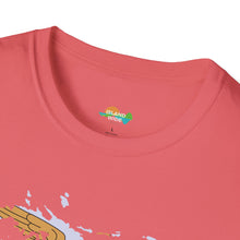 Load image into Gallery viewer, USVI ISLAND FLAG T-SHIRT
